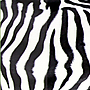Amazonas - Hängstol - Hang Mini Zebra