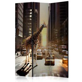 Rumsavdelare - Giraffe In The Big City