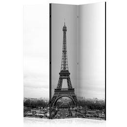 Rumsavdelare - Paris: Black And White Photography Close