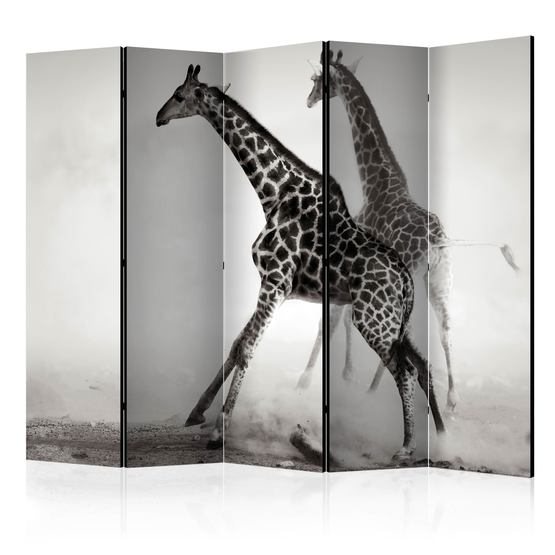 Artgeist Rumsavdelare – Giraffes II – 5 Delar