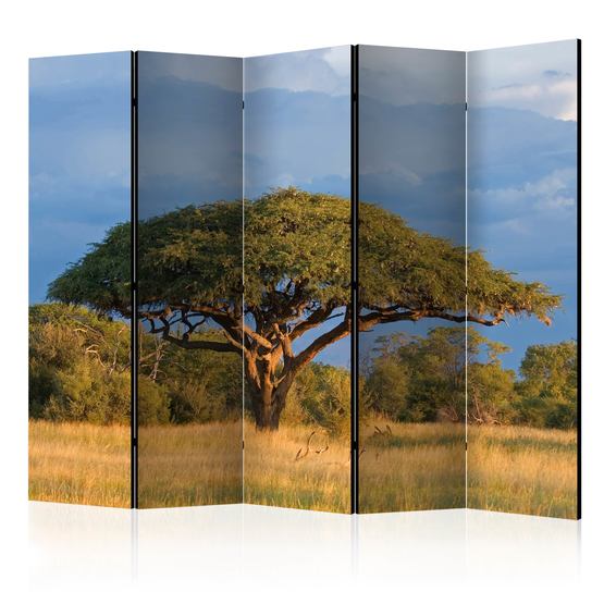 Artgeist Rumsavdelare – African Acacia Tree Hwange National Park Zimbabwe II – 5 Delar