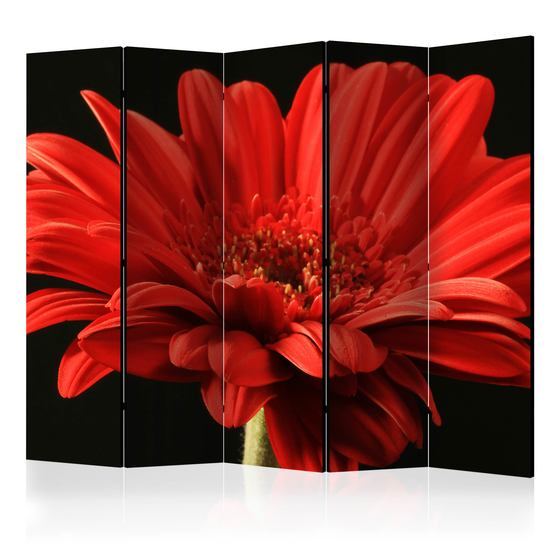 Artgeist Rumsavdelare – Red Gerbera Flower II – 5 Delar