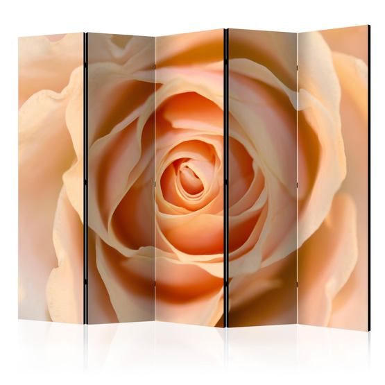 Artgeist Rumsavdelare – Peach-Colored Rose II – 5 Delar