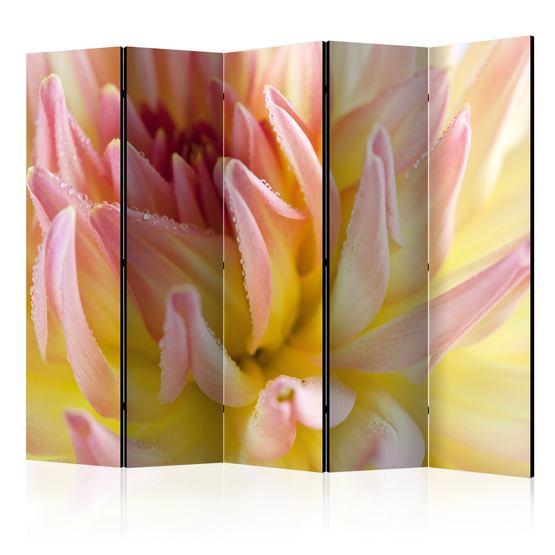 Artgeist Rumsavdelare – Pastel Colored Dahlia Flower With Dew Drops II – 5 Delar