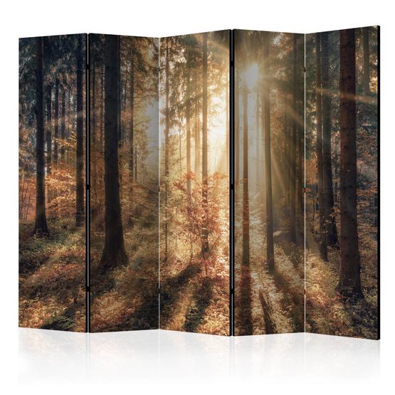 Artgeist Rumsavdelare – Autumnal Forest Sun II – 5 Delar