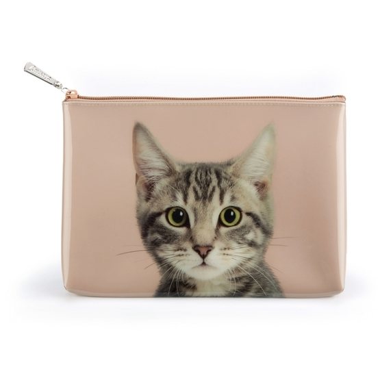 Catseye - Tabby On Taupe - Large Pouch