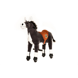 Animal Riding - Donkey Dundy