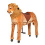 Animal Riding - Lion Shimba