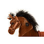 Animal Riding - Horse Amadeus