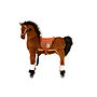 Animal Riding - Horse Amadeus
