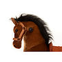 Animal Riding - Horse Amadeus