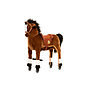 Animal Riding - Horse Amadeus