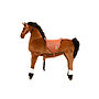 Animal Riding - Horse Amadeus
