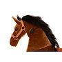 Animal Riding - Horse Amadeus