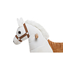 Animal Riding - Horse Snowy