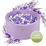 Meow Baby - Bollhav Lavendel Med 250 bollar - Lila - 40 Cm