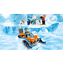 LEGO City Arctic Expedition 60191, Arktiskt utforskningsteam