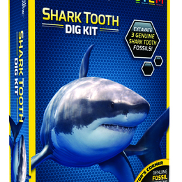 National Geographic, Shark Teeth Dig Kit