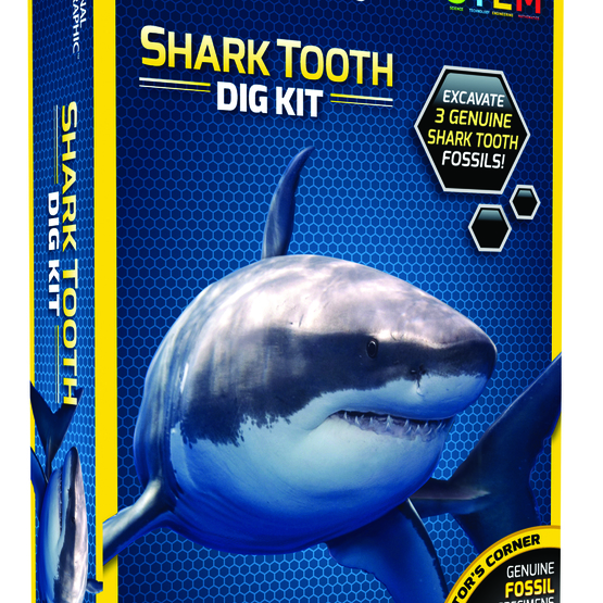 National Geographic, Shark Teeth Dig Kit