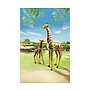 Playmobil, Wild Life - Giraff med unge