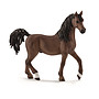Schleich, Horse Club - Arabhingst 13811