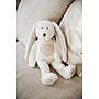 Teddykompaniet, Teddy Cream- Kanin vit 33 cm