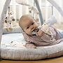 Teddykompaniet, Diinglisar - Babygym grå