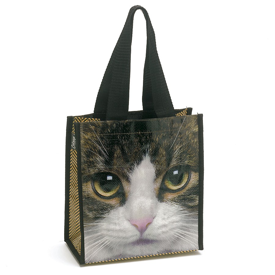 CatsEye Tabby Cat Carry Bag Catseye Litenleker.se