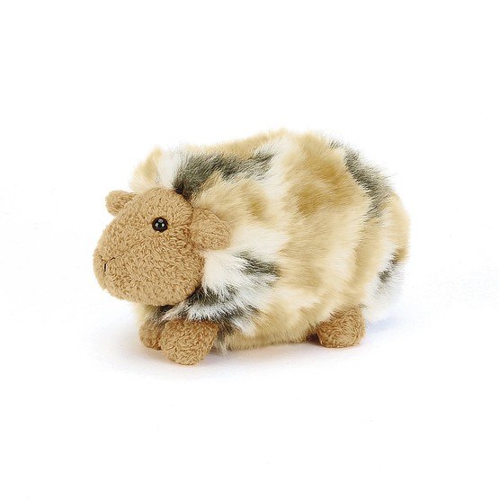 Gorgeous Guinea Pig Silky