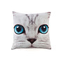 Catseye - Silver Kitty Couchion