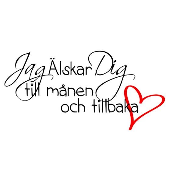 Smådetaljer - Väggdekor - Älskar Dig Till Månen - 30X40 - Svart