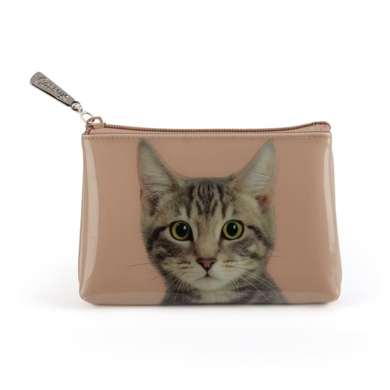 Catseye - Tabby On Taube Pouch