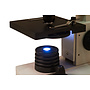 Levenhuk - Mikroskop - 2L PLUS Moonstone Microscope