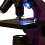 Levenhuk - Mikroskop - 2L PLUS Amethyst Microscope