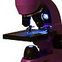 Levenhuk - Mikroskop - 50L Amethyst Microscope
