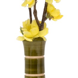 Liix - Liix Flower Vase Bamboo Blumenvase für Fahrradlenker grün