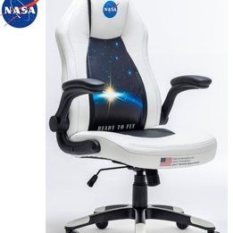 NASA - Gamingstol Stardust