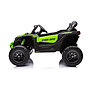 Azeno - License Can-Am Marverick UTV - Green