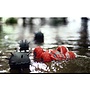 Ninco - Aquabound