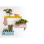Roommate - Hylla - Doodle Drop Picture Shelf Yellow