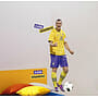 Väggdekorer  - Zlatan