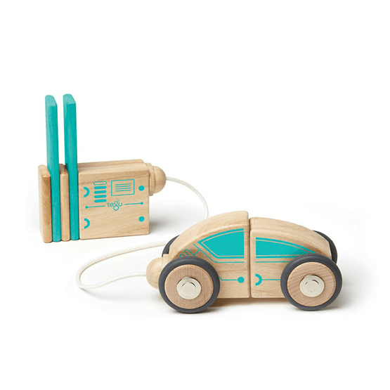 Tegu Circuit Racer Litenleker
