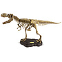 Geoworld - Building Kit Tyrannosaurus Rex 76 Cm