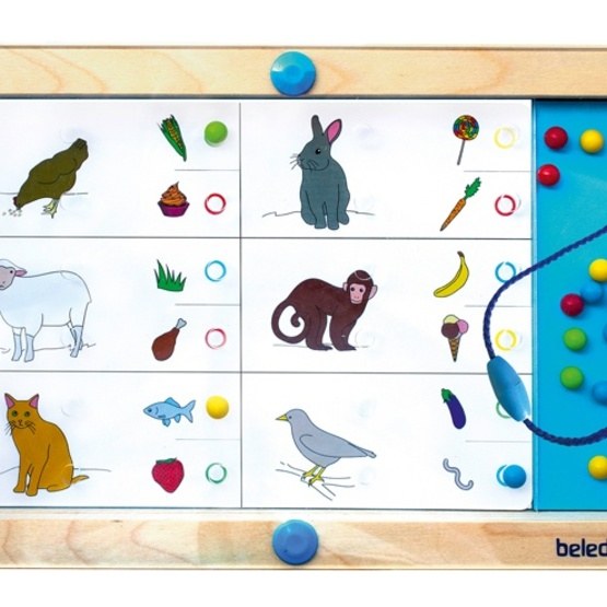 Beleduc - Magnetic Game Logiplay 19-Piece