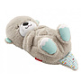 Fisher Price - Soft Asleep Otter 28 Cm Grå