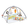 Fisher-Price - Babygym Deluxe Perfect Sense 67 Cm