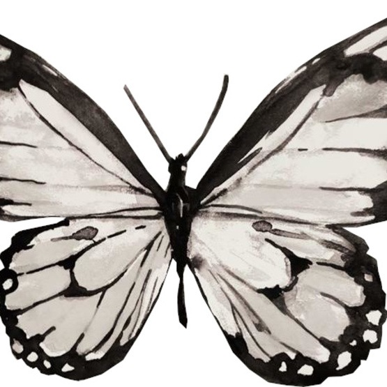 RoomMates - Väggklistermärken Butterfly Svart/Vit