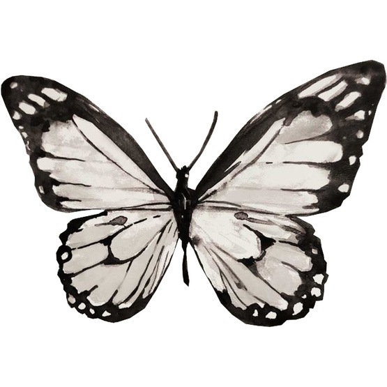 RoomMates - Väggklistermärken Butterfly Svart/Vit