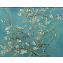 Best Pause - Kit Almond Blossom. 40 X 50 Cm Canvas 10 Delar