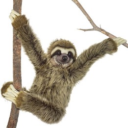 National Geographic - Cuddly Sloth 80 Cm Plysch Brun